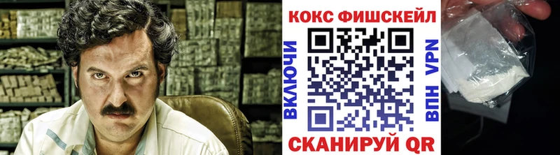 Кокаин Fish Scale  Купить  Слюдянка 