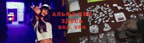 тгк Горнозаводск