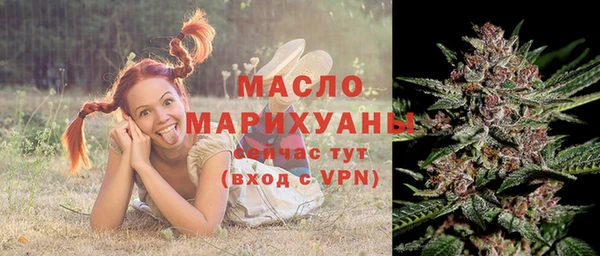 тгк Горнозаводск