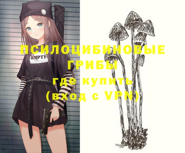 тгк Горнозаводск