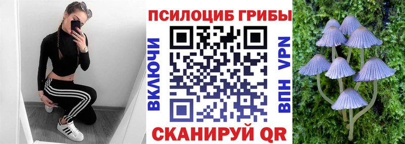 Псилоцибиновые грибы Cubensis  Купить где  Слюдянка 
